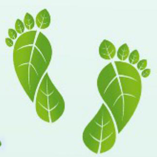 Krishna Bio Packaging Industries - Bhopal